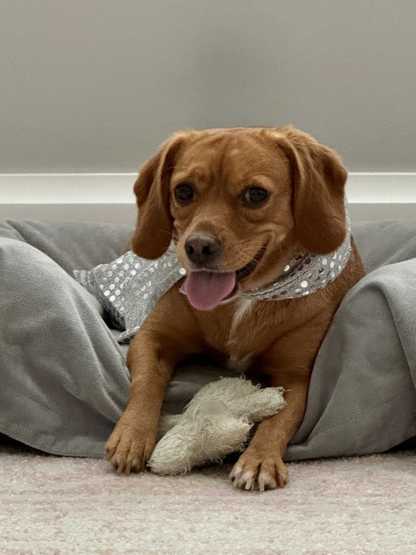 Penny