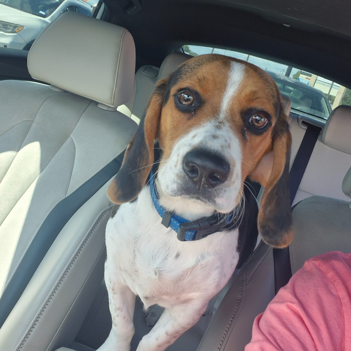Charlie