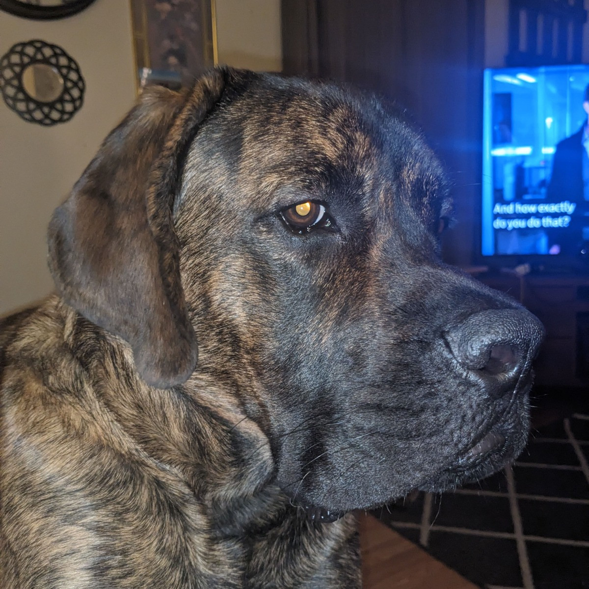 Bane