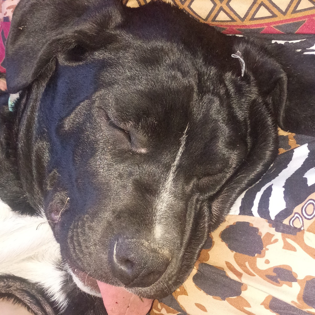 Daisy Duke