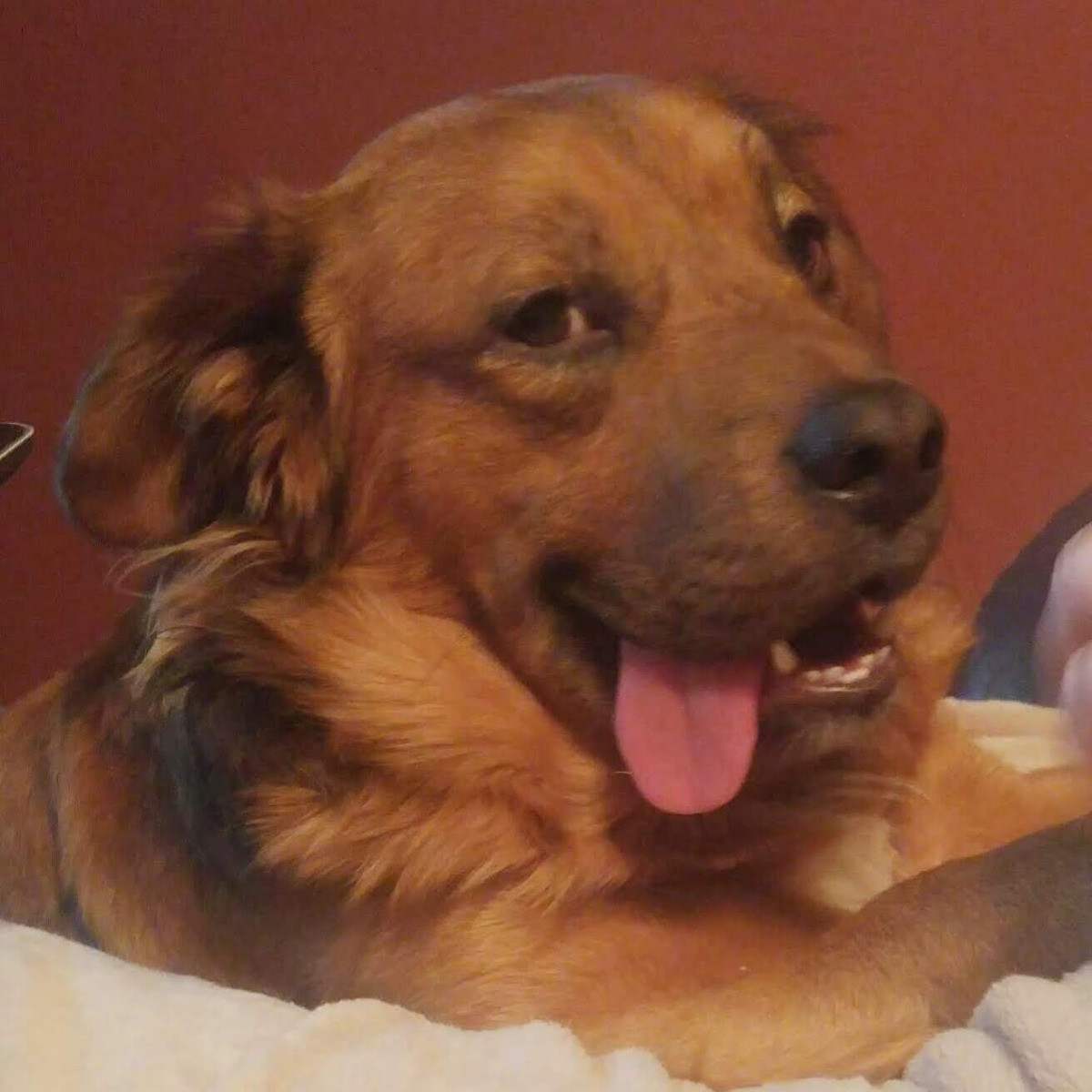 Gunner