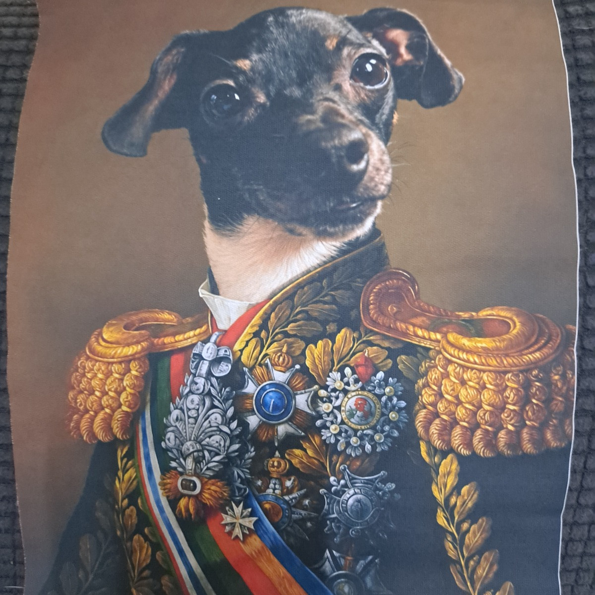 Penelope