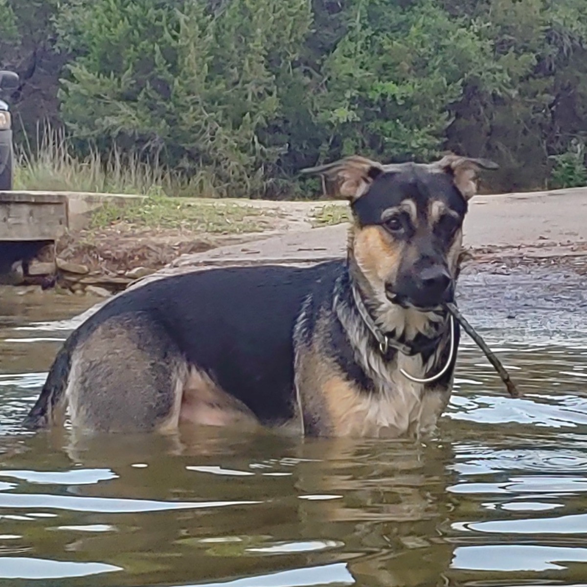 Maximus Padamus Conner
