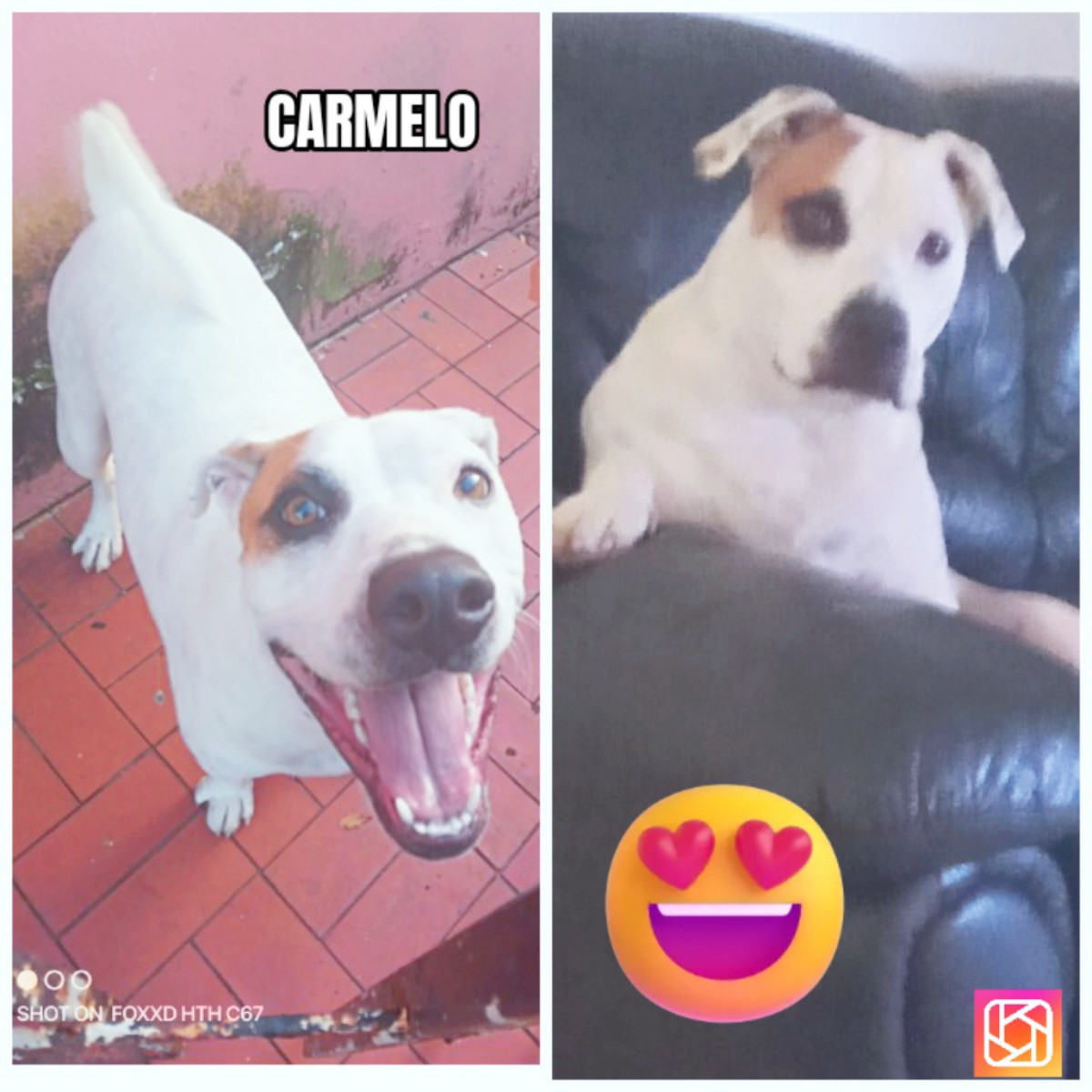Carmelo